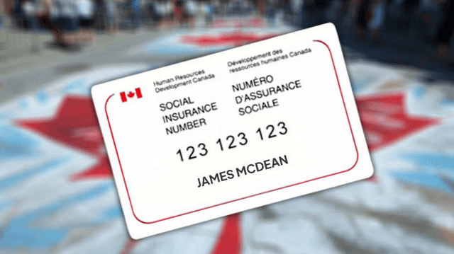 ✅ Làm Số Bảo Hiểm SIN